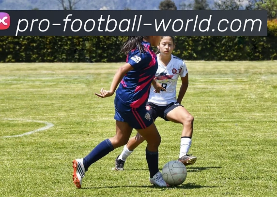 WORLD CUP 2026投注平台生态图